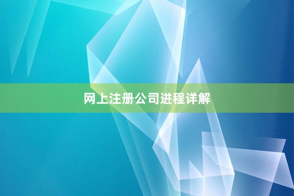 网上注册公司进程详解